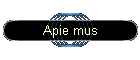 Apie mus