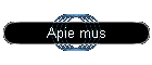 Apie mus